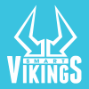 smartvikings